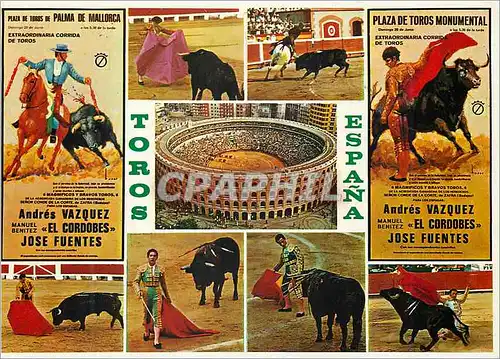 Cartes postales moderne Toros Taureau Corrida