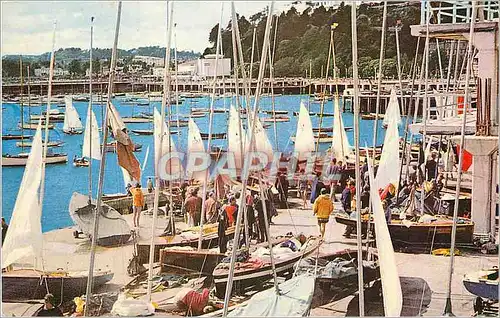 Cartes postales moderne White Wings Torquay Bateaux de peche