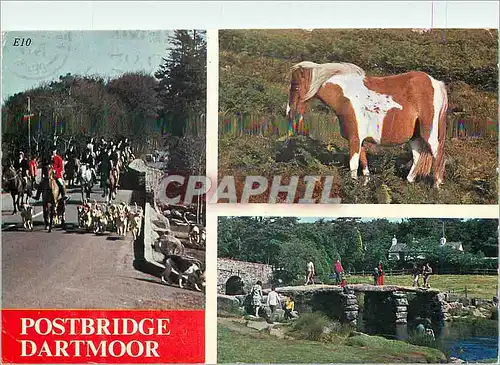 Cartes postales moderne Postbridge Dartmoor Poney