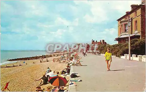 Cartes postales moderne The Promenade Hythe