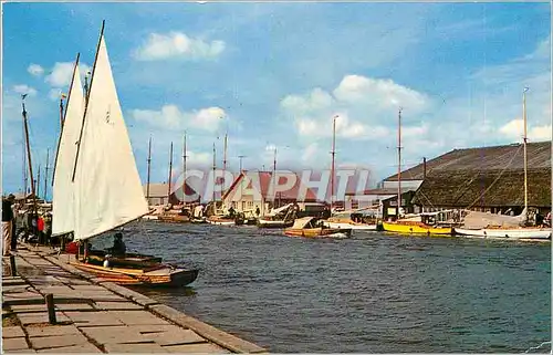 Cartes postales moderne Yachts on the Thurne Potter Heigham Norfolk Broads
