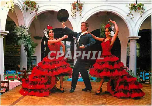 Cartes postales moderne El Relicario Paco de Lucio y su Fiesta Ballet Danse espagnole por Soleares