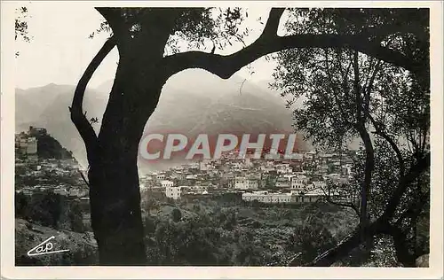 Cartes postales moderne Moulay idriss site pittoersque de pelerinage et d'excursion