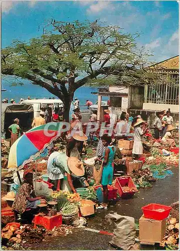 Cartes postales moderne Martinique Saint-Pierre Le Marche