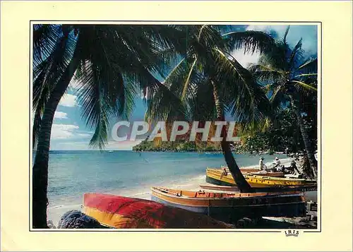 Cartes postales moderne Martinique Plage Grand Anse