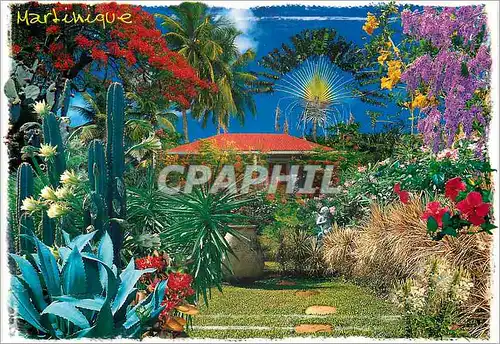 Cartes postales moderne Martinique Antilles Francaise Jardin Tropical