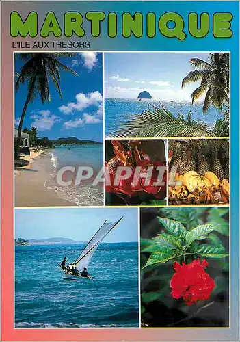 Cartes postales moderne Martinique L'ile au Tresors