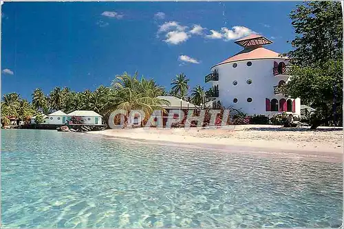 Cartes postales moderne Martinique Sainte-Anne Plage des boucaniers