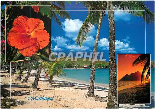 Cartes postales moderne Martinique