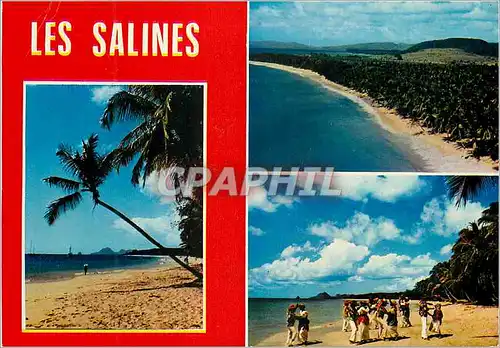 Cartes postales moderne Martinique Plage des Salines