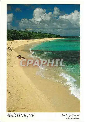 Cartes postales moderne Martinique Au Cap Macre