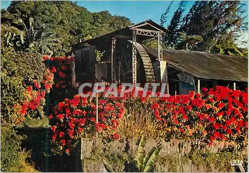 Cartes postales moderne Martinique Vieux moulin vers Saint-Pierre