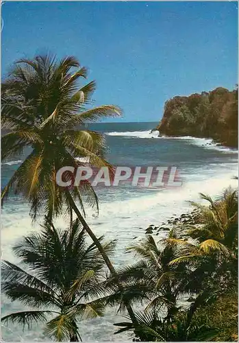 Cartes postales moderne Martinique Lorrain La vague atlantique a l'assaut de la plage