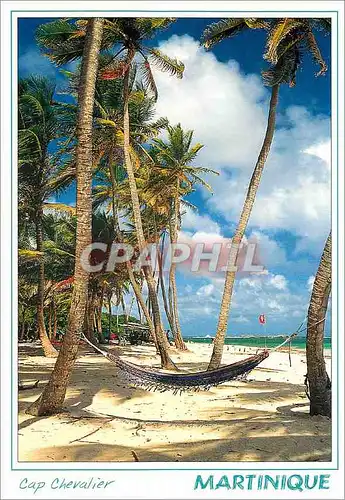 Cartes postales moderne Martinique Antilles Francaise Cap Chevalier