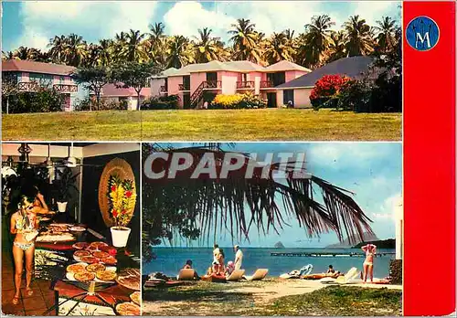 Cartes postales moderne Martinique Le Club Mediterranee