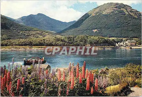 Cartes postales moderne Ballachulish Ferry Scotland