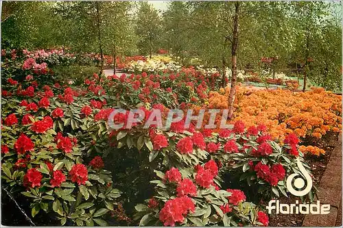 Cartes postales moderne Floriade International Holticultural Exhibition