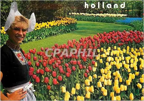 Cartes postales moderne Holland