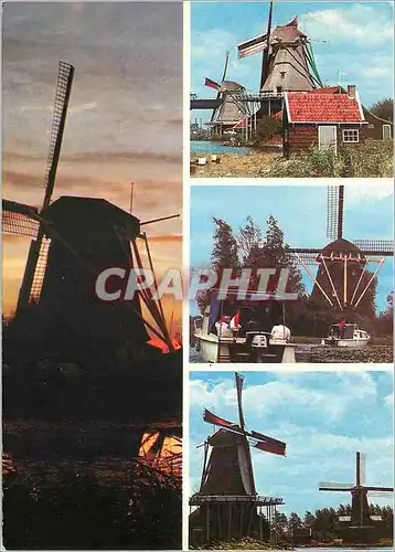 Cartes postales moderne Molens Dutch Windmills Moulin a vent