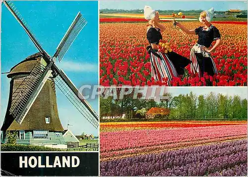 Cartes postales moderne Holland