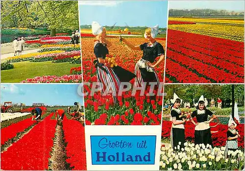 Cartes postales moderne Groeten uit Holland