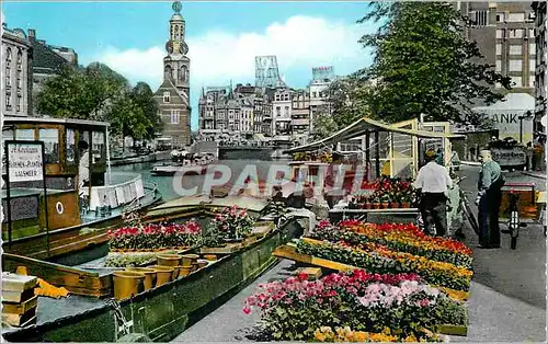 Cartes postales moderne Amsterdam Flowermarket Singel