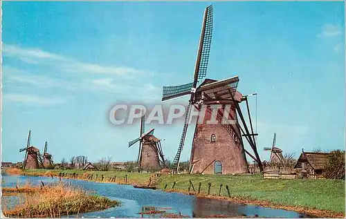 Cartes postales moderne Dutch Windmill