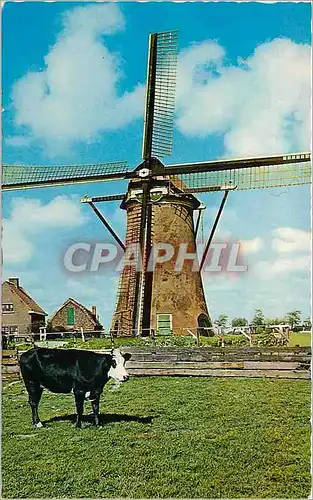 Cartes postales moderne Dutch Windmill