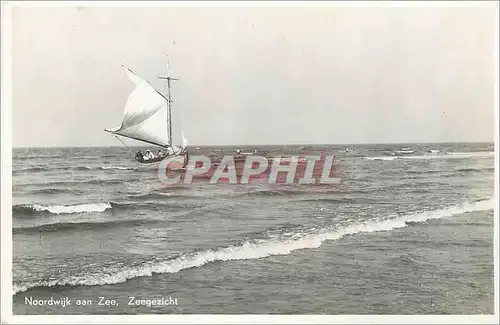 Cartes postales moderne Noordwijk aan Zee Zeegezicht