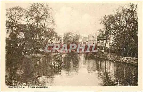 Cartes postales Rotterdam Park Honingen