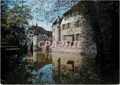 Cartes postales moderne Schloss Hallwil