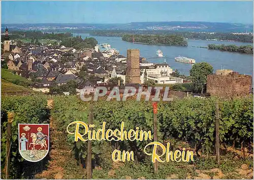 Cartes postales moderne Rudesheim am Rhein