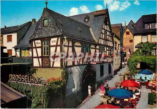 Cartes postales moderne Drosselhof