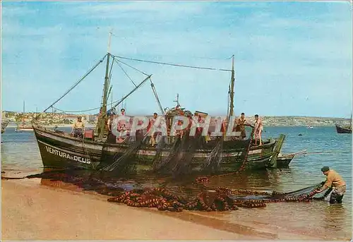 Cartes postales moderne Fisherman shaking nets Cascais Bateau de peche