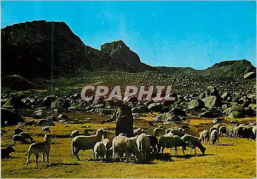 Cartes postales moderne Serra da Estrela Beira Alta