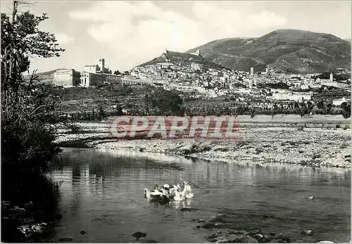 Cartes postales moderne Assisi Panorama dal Tescio