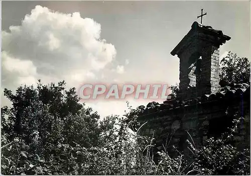 Cartes postales moderne Assisi Oratorio di S. Felicianuccio-Particolare