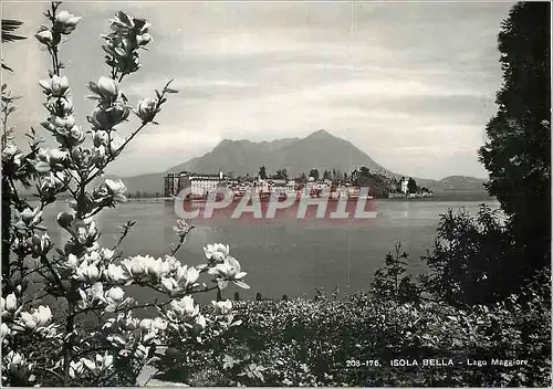 Cartes postales moderne Lago Maggiore Isola Bella