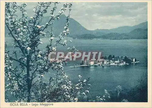 Cartes postales moderne Lago Maggiore Isola Bella