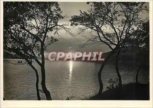 Cartes postales moderne Lac de Constance Coucher du soleil