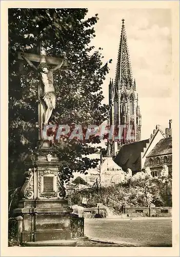 Cartes postales moderne Freiburg I Br Munster