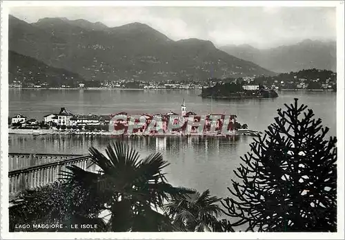 Cartes postales moderne Lago Maggiore Piemonte - Le Isole