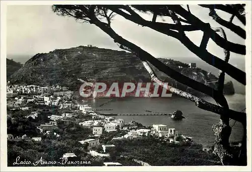 Cartes postales moderne Lacco Ameno Panorama