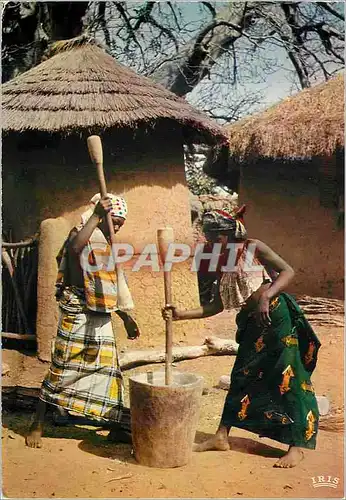 Cartes postales moderne Senegal Preparation du repas