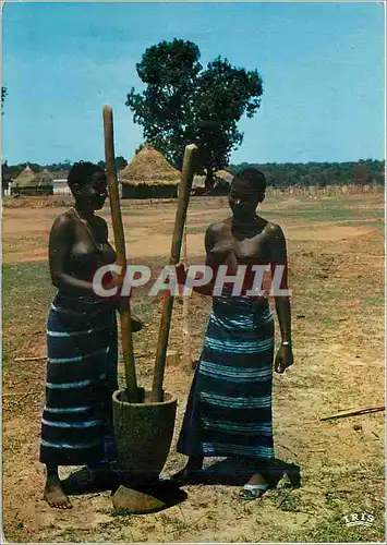 Cartes postales moderne Senegal Pileuses en pays Bassari