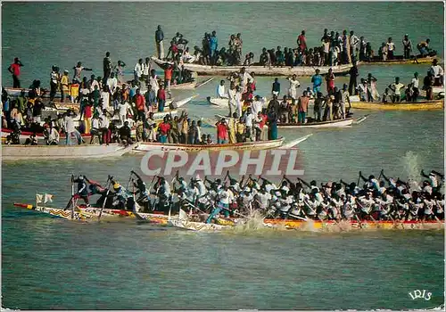 Cartes postales moderne Senegal Regate de pirogues Bateaux