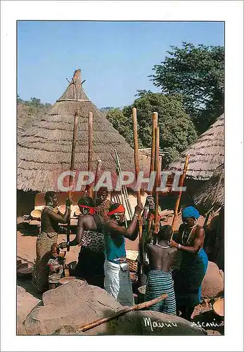 Cartes postales moderne Senegal Village Bedik du Senegal Oriental