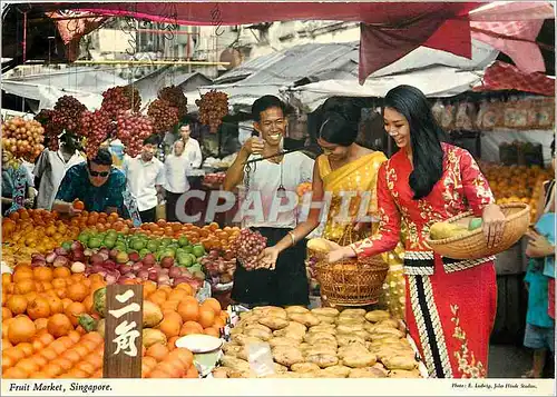 Cartes postales moderne Singapore Fruit Market