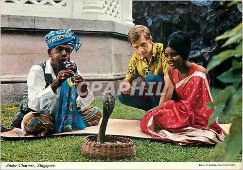 Cartes postales moderne Singapore Snake-Charmer