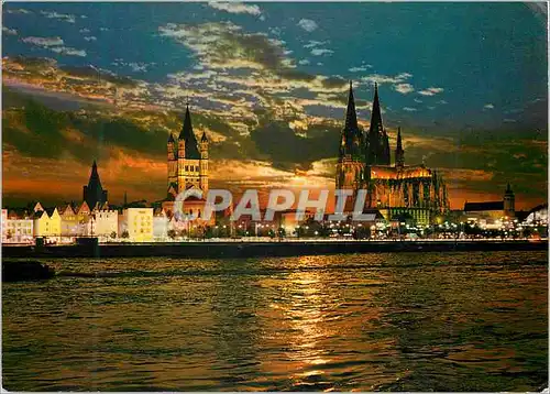 Cartes postales moderne Koln am Rhein rheinufer mit dom und grob st Martin bei sonnenuntergang